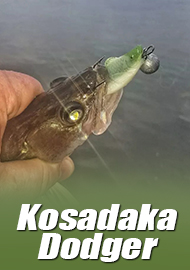Обзор Kosadaka Dodger: секретная приманка в арсенале спиннингиста.